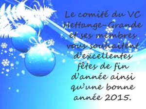 Voeux 2015